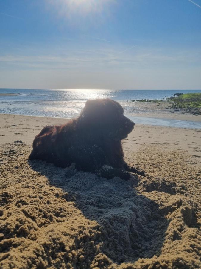 Meerblick Wattenmeer ,50M Vom Meer,Strand 300M Westerland Ngoại thất bức ảnh